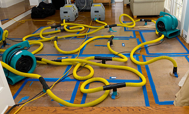 Professional Water Extraction technician working in New Auburn, MN